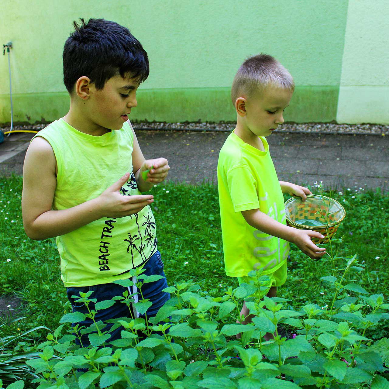 Zwei Kleinkinder sammeln unterschiedliche Kräuter in einem Beet.