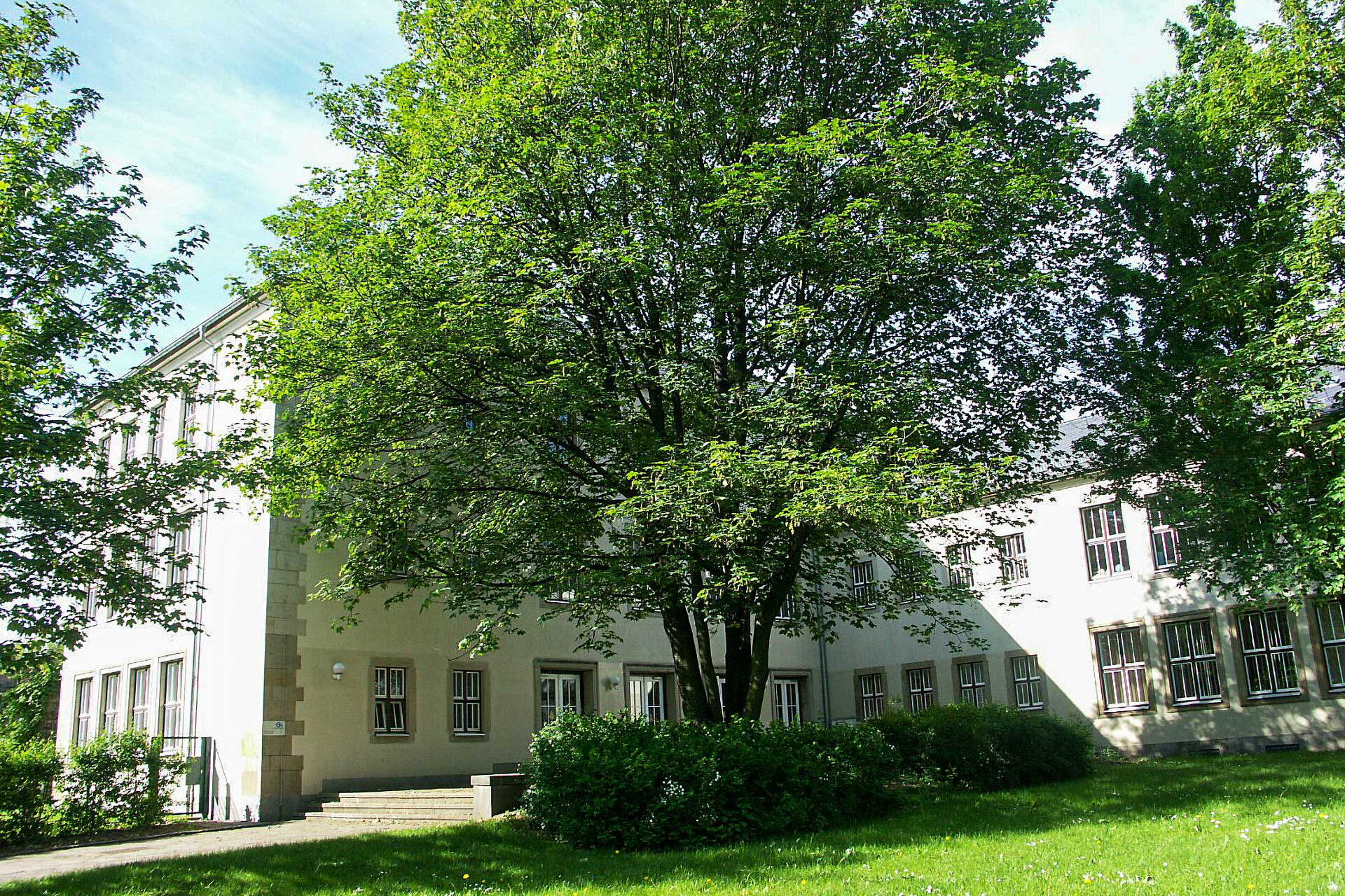 Der Eingangsbereich der Grundschule mit großer Wiese und Bäumen im Vordergrund.